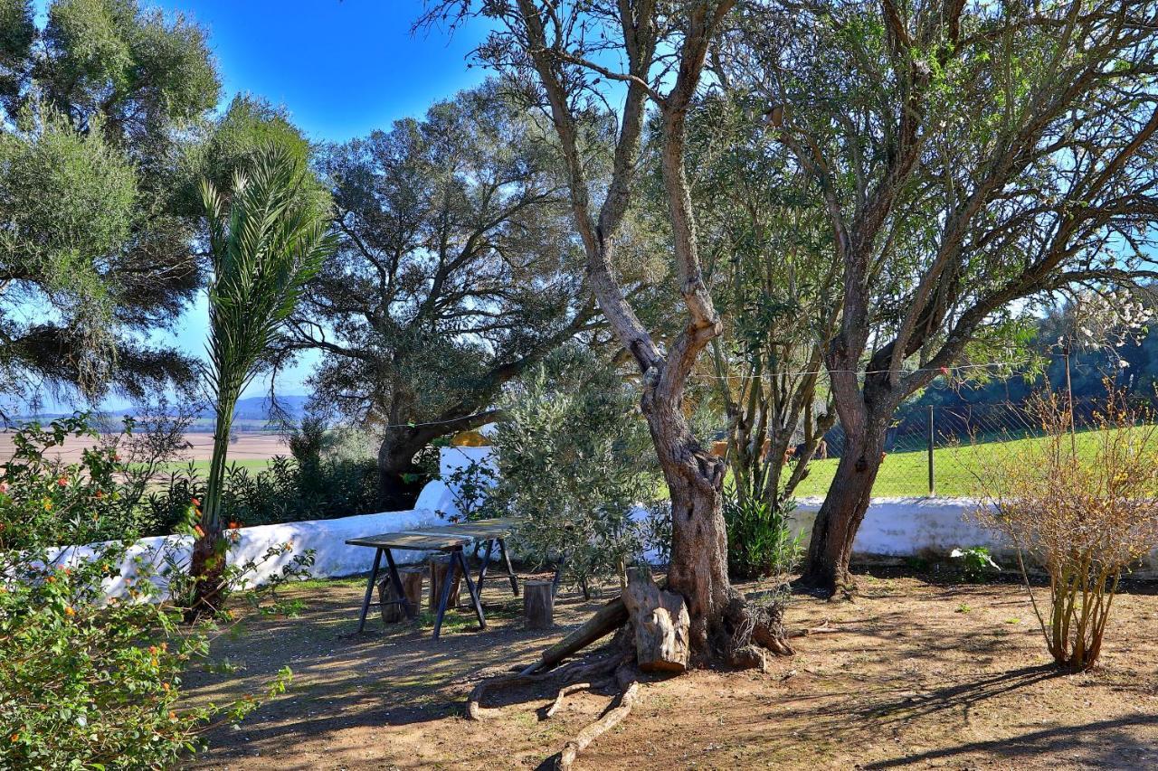 Casa Rural Finca Los Hierros Вехер-де-ла-Фронтера Екстер'єр фото