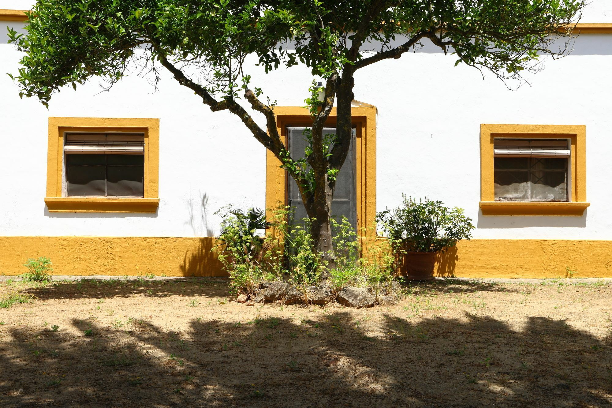 Casa Rural Finca Los Hierros Вехер-де-ла-Фронтера Екстер'єр фото